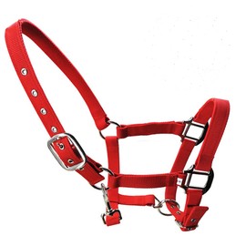 tooloflife Adjustable Padded Nylon Foal Pony Donkey Headcollar Red Medium