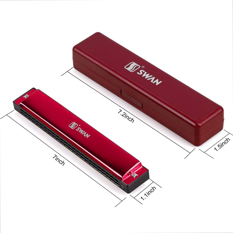 Harmonica Professional C Major Blues Harmonica Diatonic 24-Hole with Case