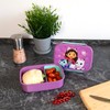 Scooli Lunch Box for Children with Removable Insert - Gabby's