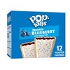 Pop-Tarts Toaster Pastries, Breakfast Foods, Kids Snacks, Frosted Blueberry, 20.3oz