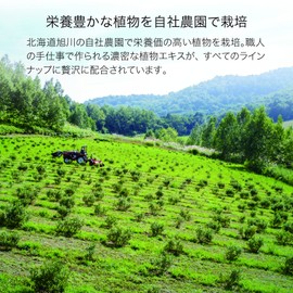 L'ORACLE Essence Sheet Mask, Set of 6 (Sheet Serum Mask) [Botanical Beauty Care]