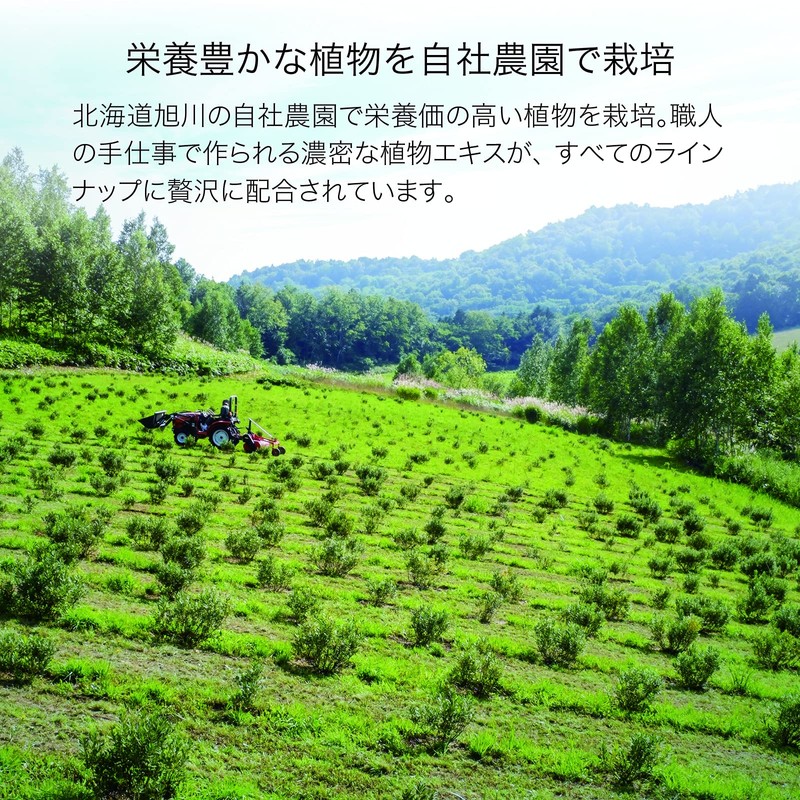 L'ORACLE Essence Sheet Mask, Set of 6 (Sheet Serum Mask)