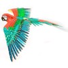 Fascinations Metal Earth Premium Series Jubilee Macaw Parrot 3D Metal