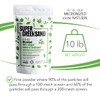 Super Greensand Micronized, 68 Minerals and Trace Elements, 10 Pounds