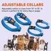 Dogline M8004-2 Collar de Microfibra, Mediano, Azul