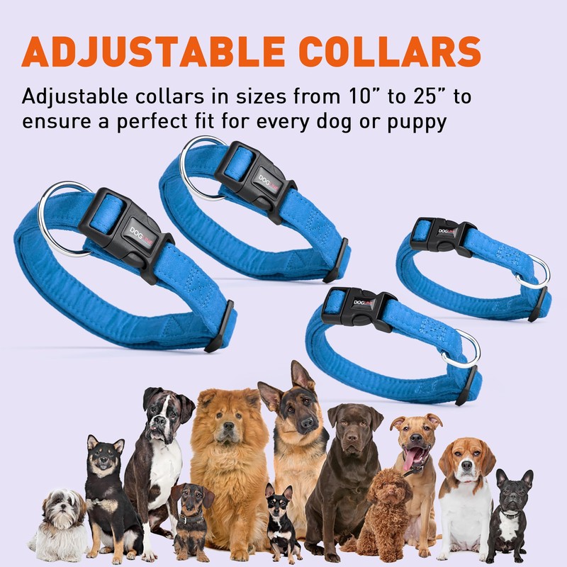 Dogline M8004-2 Collar de Microfibra, Mediano, Azul