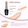 CHERIMOYA Esmalte en Gel Plata Glitter para Uñas 8ml