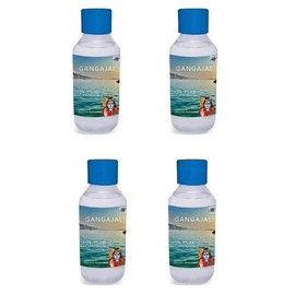 Gangajal Hindu holy Water Religious Water Gangajal Pure Holy Water from haridwar har ki pauri Pooja for Diwali navratra Shiv Pooja (100 ML Pack of 4)