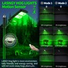 2 Pack LANGY Hog Lights, Green Light for Night Hunting