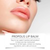 Lip Balm, Moisturising Lip Balm, Honey Bee Lip Butter, Propolis