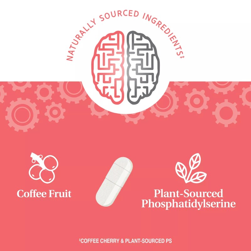 21st Century Brilliant Brain Performance 30 Count Nutritional Supplement