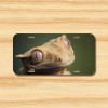Crested Gecko License Plate Front Vehicle Auto Tag Lizard Reptile
