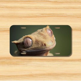 Crested Gecko License Plate Front Vehicle Auto Tag Lizard Reptile Herp FREE SHIP