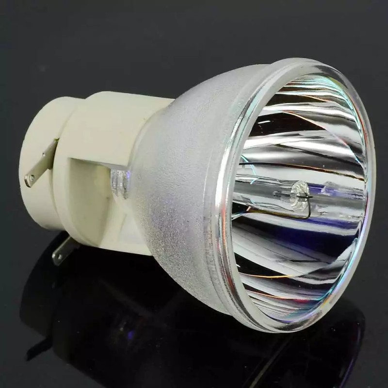 ViewSonic NEW OEM PROJECTOR LAMP BULB FOR VIEWSONIC VS13648 RLC061