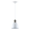 LED Universum "Steve" Pendant Light, Metal White with Silver Base,