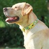 Olahibi Neoprene Padded Dog Collar, Soft and Comfortable, Floral Pattern,