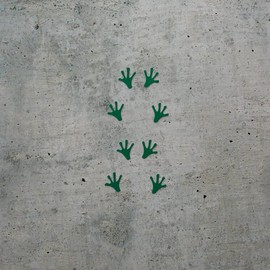 Transparent Decal Stickers of Multiple Frog Footprints (Green) Premium Waterproof Vinyl Decal Stickers for Laptop Phone Accessory Helmet Car Window Mug Tuber Cup Door Wall Decor ANDSKUS017365GR081222