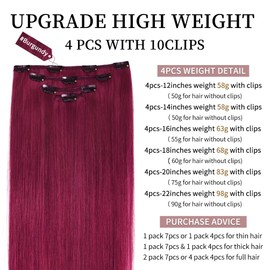 20" Clip in Hair Extensions Remy Human Hair for Women - Silky Straight Burgundy Real Hair Extensions Clip ins 83grams 4pieces (20inches, #Burgundy)