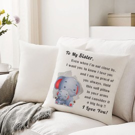 Hardeson Sister Cushion Cover Gifts from Big Little Sister Brother, Funny Throw Pillow Covers Pillowcase Birthday for Sister