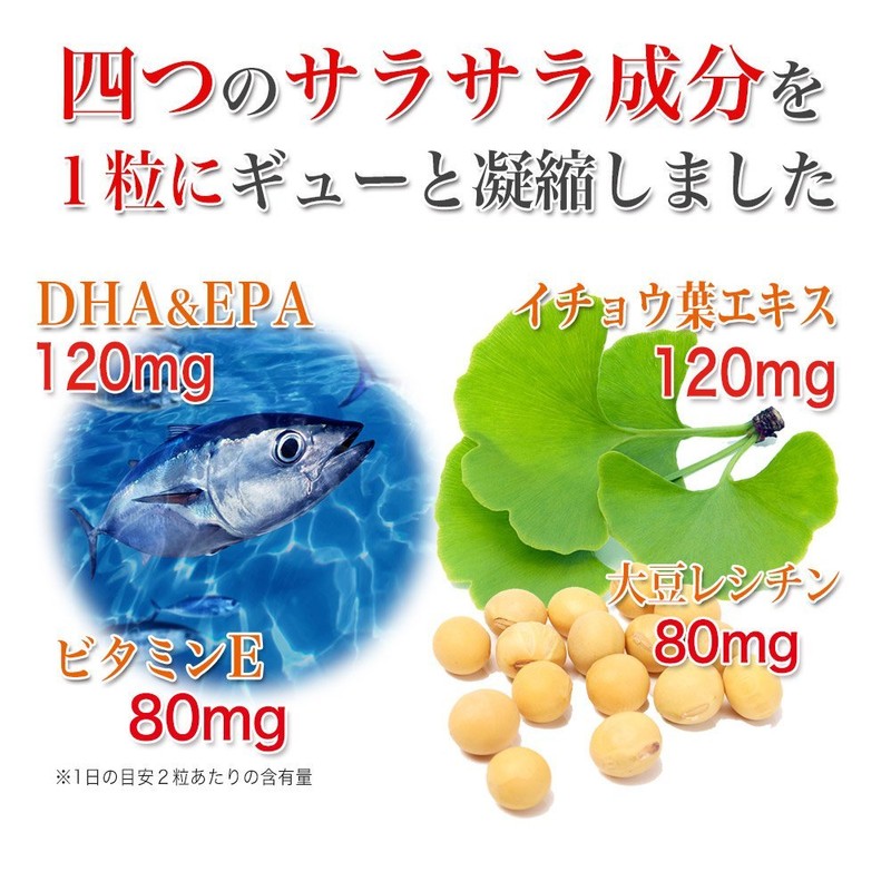 大日ヘルシーフーズ DHA EPA イチョウ葉 40粒入×1袋（20日分） 大豆レシチン ビタミンE 配合 サプリ