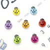 HXJFGDM 100pcs Mini Resin Animals - Luminous Tiny Resin Ladybug
