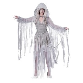 California Costumes - Disfraz de espíritu fantasma de Haunting Beauty para mujer, gris, talla grande