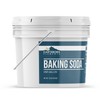 Earthborn Elements Baking Soda (1 Gallon) Sodium Bicarbonate, Cooking, Cleaning