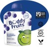 Buddy Fruits Snacks To Go Blueberry Unsweetened Applesauce 3.2oz Pouch
