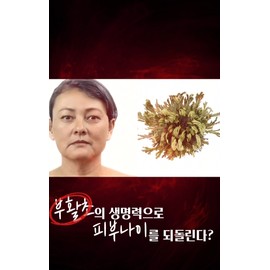 Aquaporin AgelessㅣAnti-AgingㅣClinical clinical trial completed for skin elasticity recovery improvement - (OU-0015) 1 ampoule 1 piece / 아쿠아포린에이지리스ㅣ안티에이징ㅣ피부탄성복원력개선임상완료 - (OU-0015) 앰플 1개입
