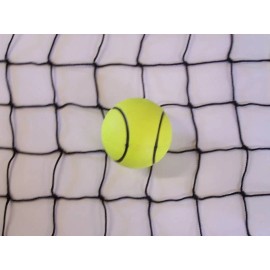 Goodwin Netting Baseball Softball Net Heavy Duty Black Square #21 Nylon 2" Mesh Netting 12' x 7'