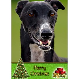 Greyhound Dog Christmas Card 'Merry Christmas' - Special Animal Xmas Card for Him Her from Pets Kids
