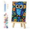 Natuyalo Framed Paint by Numbers Kit for Adults Beginners, Owl