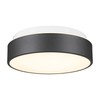 AUTELO Flush Mount Ceiling Light-Black Ceiling Light Fixture - 12Inch