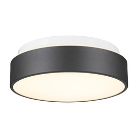 AUTELO Flush Mount Ceiling Light-Black Ceiling Light Fixture - 12Inch LED Close to Ceiling Light with Frosted Glass Shade C3312 BK LED