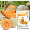 Imperial 45 Cantaloupe Seeds, 50+ Heirloom Seeds Per Packet, (Isla's