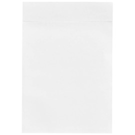 Papyrus Undertale Papyrus Delivery Pack A7 size for pa017t