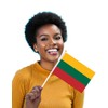 25 Packs Small Lithuania Flags on Handheld Stick，Miniature Lithuanian Flag