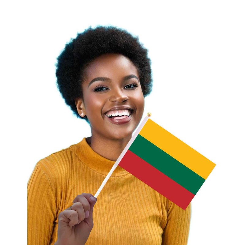 25 Packs Small Lithuania Flags on Handheld Stick，Miniature Lithuanian Flag