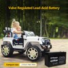 SEFEPODER 12V 9Ah Rechargeable Sealed Lead Acid Battery（SLA） 2 Pack