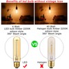 LiteHistory Dimmable T10 LED Bulb 4W Equal E26 Edison Bulb