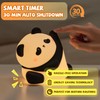 AiSagePure Silicone Panda Night Light for Kids, Touch Control, Rechargeable,