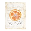 Prima Marketing FP638399 Fruit Paradise Diary 3 x 4 Inch
