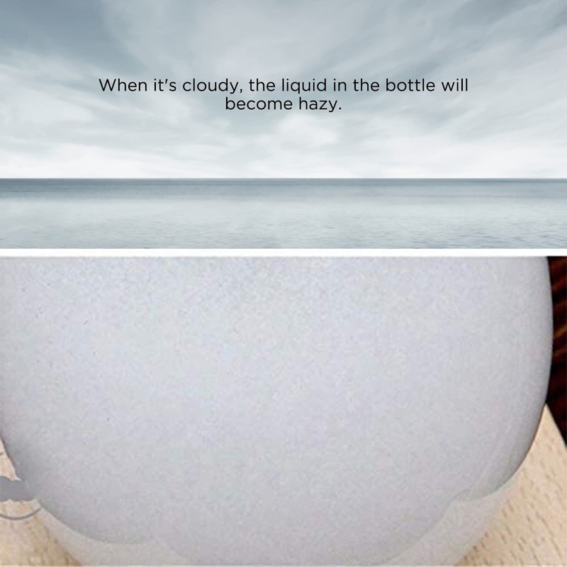 Viitech Storm Glass Weather Forecaster, Globe-Shaped Weather Glass Weather Station,