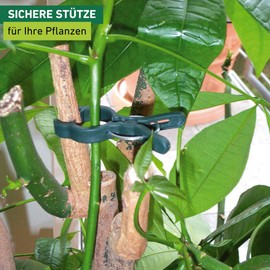 Windhager 71678 Plant Clips Plant Attachment Plant Holder Pack of 12