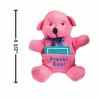 Fun Express 4 1/2" Brightly Colored Prayer Stuffed Bears with
