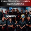 Champify 6 x OneFlow Dart Shafts with Flight - Black