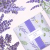 Scent-Hi Scented Drawer Liners, Scent Paper Liners for Drawers, Fragrant