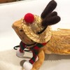 Bearded Dragon Santa Hat Cute Soft Scarf Adjustable Size Bright