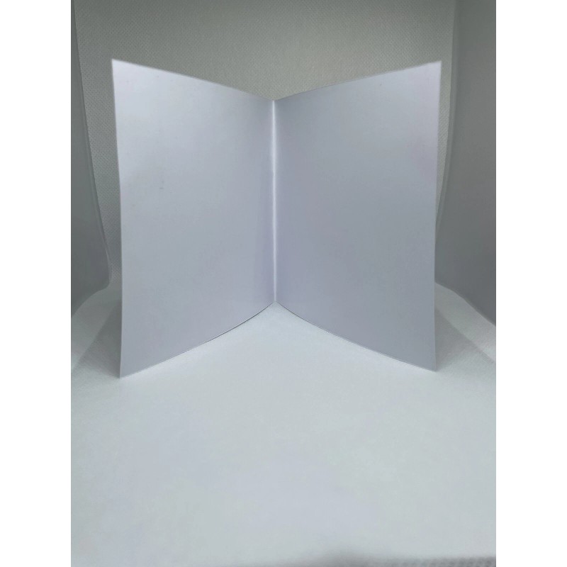 Bomberman Fantasy Race PS1 Replacement Case - NO DISC -