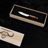 Giesser seit 1776 - Made in Germany - Spickmesser 10